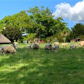 Nightingale Farm