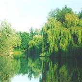 Roswell Pits
