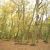Hinchingbrooke Country Park