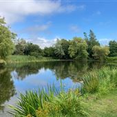 Bennetts Water Gardens