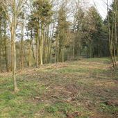 Burton Dassett Hills