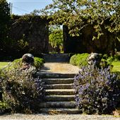 Trereife House