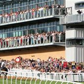 Fontwell Park Racing & Events
