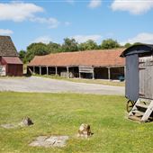 New Farm