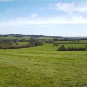 Knolls Hill