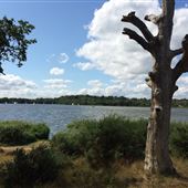 Frensham Great Pond & Common