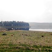 Reservoir and Woodland