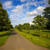 Kirtlington Park Estate