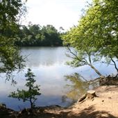 Black Park