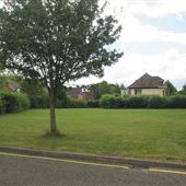 Redwood Drive