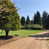 Fulmer Wood