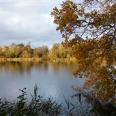 Fairhaven Woodland and Water Garden
