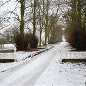 Blo Norton Hall (Barns)