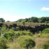 Views of Long Lane & surrounds