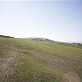 Cleeve Hill