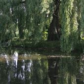 Baxters Farm