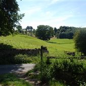 Easby Abbey View Lane