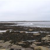 Lindisfarne Beach
