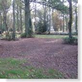 Chorleywood Common