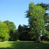 Kings Langley Village Gardens