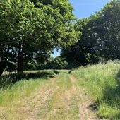 A - Jolly Farm
