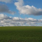 St Margarets at Cliffe / NT-The Leas/Bockhill Farm/ WCP - The Front