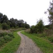 Viridor Wood
