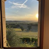 Cotswolds