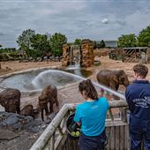 Chester Zoo