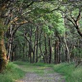 NT - Heddon Valley
