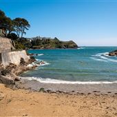 Readymoney Cove