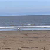 Berrow Beach