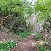 Split Rock Gorge