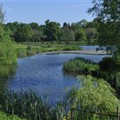 Ripple Lakes