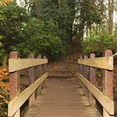 Lymm Dam
