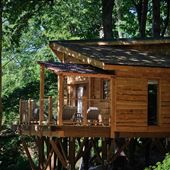 Red Treehouse