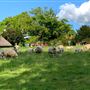 Nightingale Farm