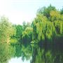 Roswell Pits