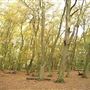 Hinchingbrooke Country Park