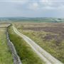 Chatsworth moorland