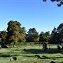 Magdalen Hill Cemetery
