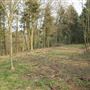 Burton Dassett Hills