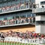 Fontwell Park Racing & Events