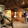 Amberley Museum
