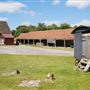 New Farm
