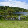 Tilford Road Lake