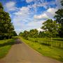 Kirtlington Park Estate