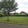 Redwood Drive