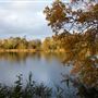 Fairhaven Woodland and Water Garden