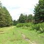 FE - Thetford Forest Park